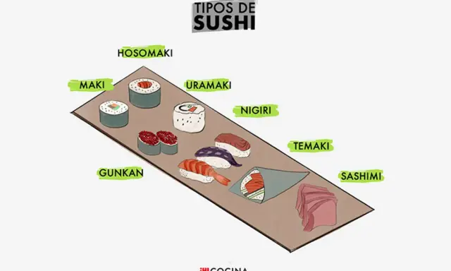 Ilustración de varios tipos de sushi: hosomaki, maki, uramaki, nigiri, gunkan, temaki y sashimi.