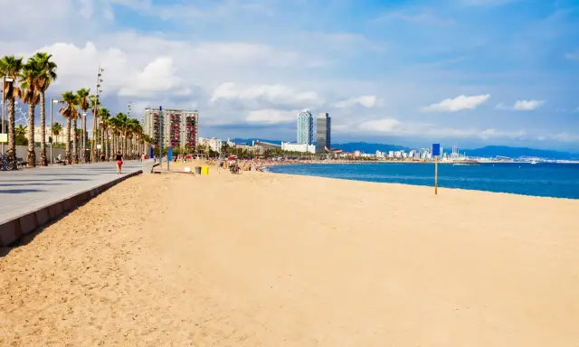 Słoneczna barcelona plaża z palmami i nowoczesnymi budynkami w tle.
