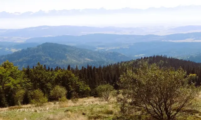 Widok z górskiej hali krupowej na zalesione wzgórza i odległe Tatry.