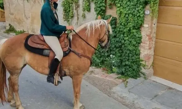 Cavalli toscana: una persona cavalca un cavallo biondo lungo una strada di ciottoli, con edera che ricopre un muro di pietra.