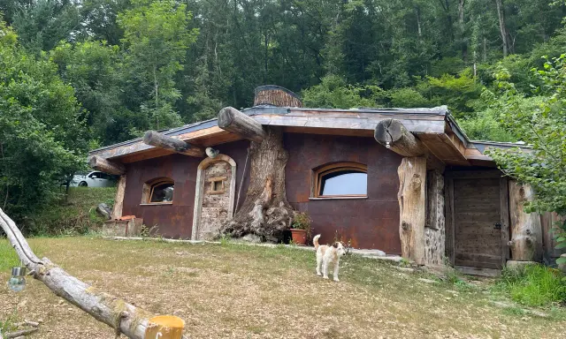 Une charmante cabane semi enterrée, intégrée à la nature, avec un chien curieux devant.