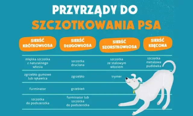 Tabela porównująca narzędzia do pielęgnacji psów o różnym rodzaju sierści: krótkiej, długiej, szorstkiej i kręconej.