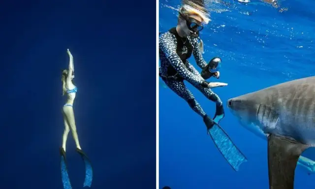 Una donna in bikini nuota con gli squali, mentre un'altra in muta interagisce con uno squalo.