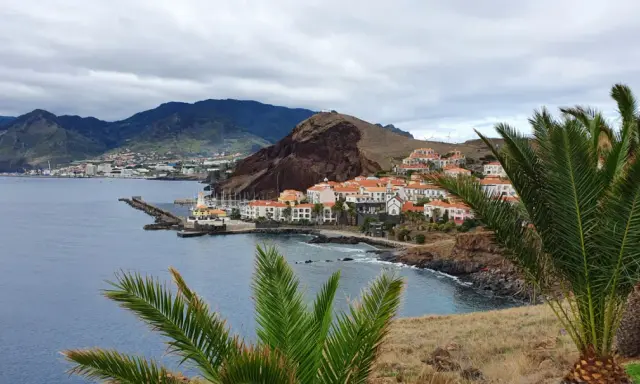 Blick auf eine Küstenstadt mit weißen Häusern und roten Dächern, umgeben von Bergen. Palmen im Vordergrund. Hier leben die Madeira Einwohner.