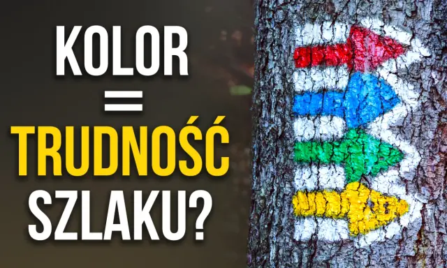 Kolor szlaku a trudność? Strzałki na drzewie: czerwona, niebieska, zielona, żółta.