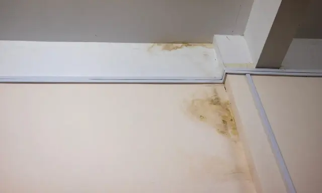 Taches d'humidité et moisissures sur un mur et un plafond, signe d'un vice caché dans cette maison ancienne.