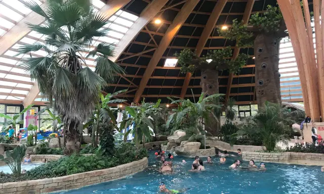 Diversión acuática en Bretaña con niños. Familias disfrutan de una piscina interior tropical con palmeras y toboganes.