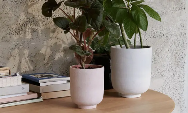 Två stilrena krukor inomhus inspiration. En ljusrosa och en vit kruka med gröna växter på ett runt träbord.