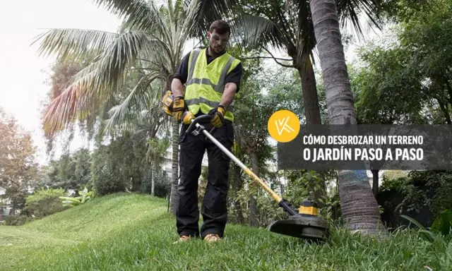 Hombre con desbrozadora, listo para desbrozar a mano un terreno cubierto de hierba y palmeras.
