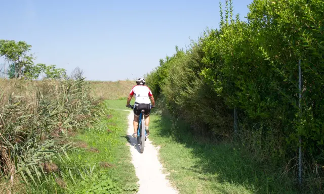 Ciclista su sentiero sterrato, immerso nella natura rigogliosa, un'esperienza da savio di Cervia.