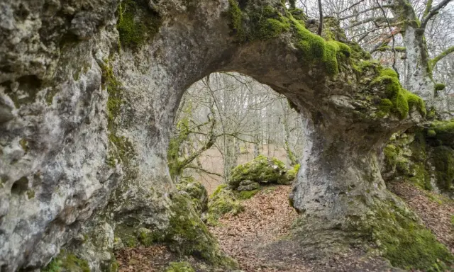 Arco natural cubierto de musgo en la sierra de Entzia, con un bosque otoñal al fondo.