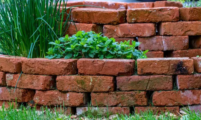 Okrągła rabata z cegły, w której rośnie mięta i szczypiorek. Cegły ułożone techniką brick stitch tworzą naturalną, rustykalną oprawę.