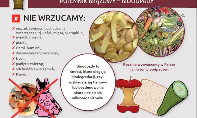 Grafika informuje, co wrzucać do brązowego pojemnika na bioodpady: resztki warzyw, owoców, fusy. Rocznie w Polsce powstaje 5 mln ton bioodpadów.