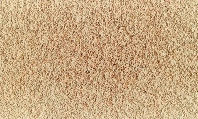 Texture granuleuse de diatomite, témoignant de son évolution naturelle.