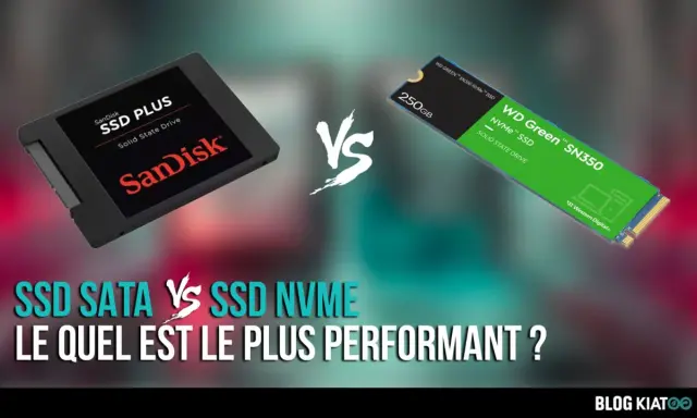 Comparaison entre un SSD SATA SanDisk et un SSD NVMe WD Green. La **SSD définition** est ici illustrée par deux technologies de stockage.