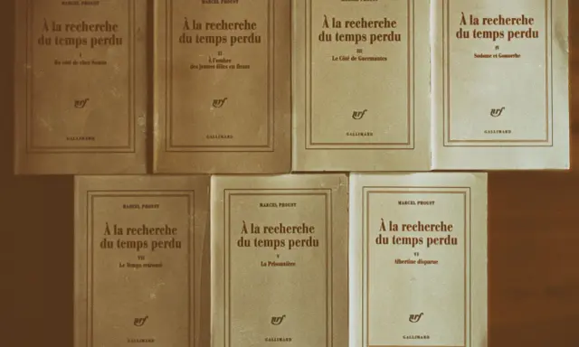 Una collezione di volumi di "Alla ricerca del tempo perduto" di Marcel Proust, editi da Gallimard, disposti su uno sfondo marrone.