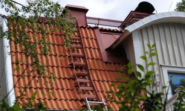 Takstege på ett rött tegeltak, en del av taket syns genom lövverk. Kanske för att följa takstege regler vid sotning.