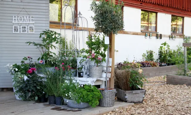 En lummig kvarnkulla trädgård med blommor i krukor och rabatter. En vit bänk och dekorativa spaljéer skapar en charmig miljö.