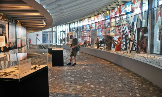 Wystawa prezentuje broń i chorągwie z epoki grunwaldzkiej. Atrakcje historyczne przyciągają zwiedzających.