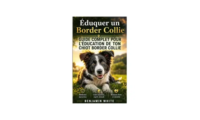 Couverture de livre "Éduquer un Border Collie", avec un chiot Border Collie assis dans l'herbe au coucher du soleil. Guide complet pour l'éducation de votre chiot.