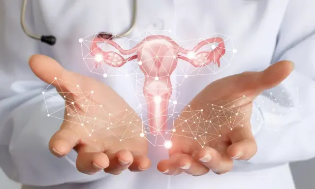 Mani di medico sorreggono utero stilizzato, connettività digitale. Informazioni sui tumore utero sintomi.