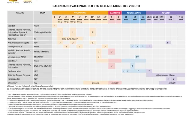 Calendario vaccinale per età: il vaccino MPRV è raccomandato per bambini e adolescenti, con richiami specifici.