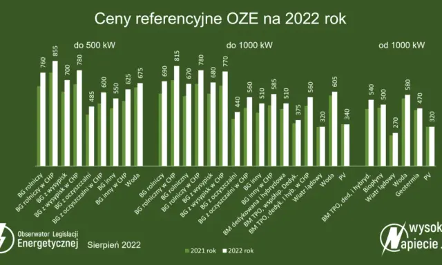 Aukcje OZE: Jak zapewnić stabilność inwestycji na 15 lat?