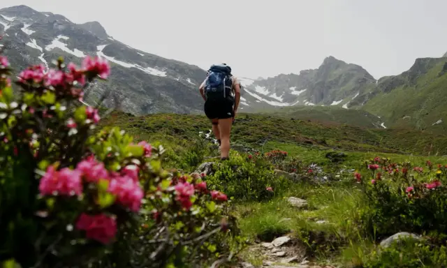 Kobieta z plecakiem idzie szlakiem wśród kwitnących rododendronów. W tle góry z resztkami śniegu. Sprawdź, jakie warunki na szlakach w Tatrach!