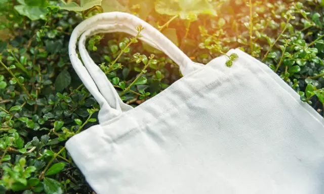 Eine weiße Stofftasche liegt zwischen grünen Blättern. Perfekt, um die Einkaufsstaschen zu verstauen und die Umwelt zu schonen.