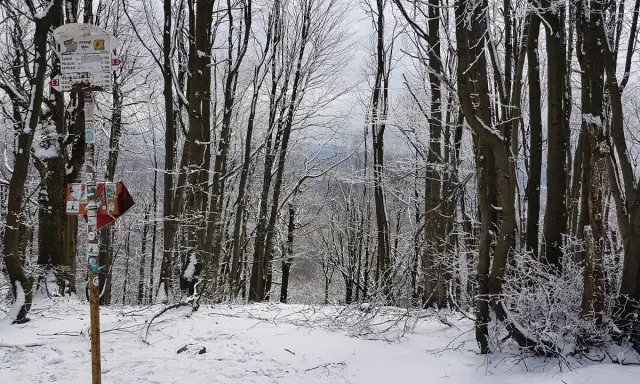 Zimowy las, szlak turystyczny i drogowskaz. W oddali widać panoramę, która przypomina **lackowa ściana płaczu**.
