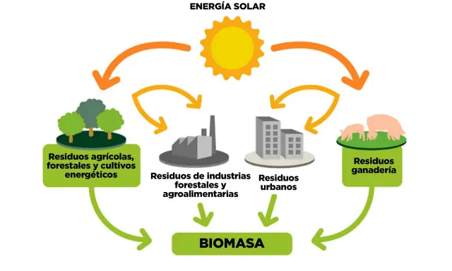 El sol impulsa la energía. Residuos agrícolas, industriales, urbanos y ganaderos se transforman en BIOMASA, mostrando como funciona la biomasa.