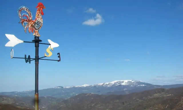 Gallo segnavento su sfondo azzurro, con montagne innevate all'orizzonte. Un invito a scoprire cosa vedere in Valmarecchia.