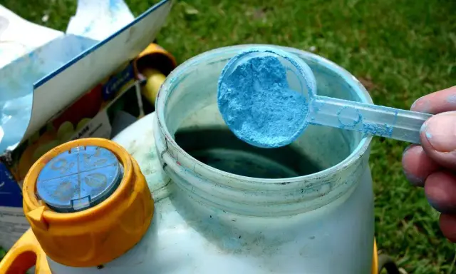 Préparation du traitement choux bouillie bordelaise. Une cuillère bleue de poudre est versée dans un pulvérisateur.
