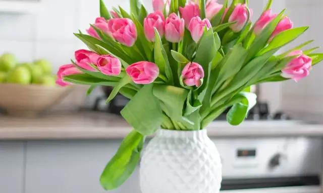 Piękny bukiet różowych tulipanów w białym wazonie. Dowiedz się, jak ułożyć tulipany w wazonie, by cieszyć się ich urokiem.