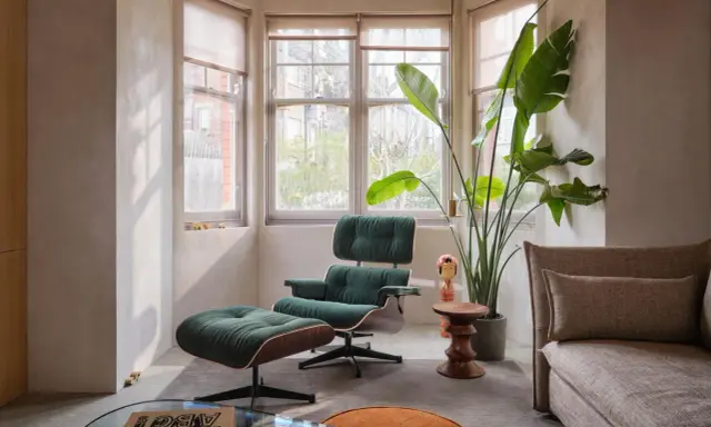 Gemütliche Ecke im **mid century style** mit einem grünen Cord-Sessel, Fußhocker, einer großen Pflanze und einem Sofa.