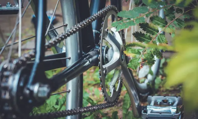 Zbliżenie na mechanizm korbowy i łańcuch rowerowy, pokazujące różne rodzaje łańcuchów rowerowych w otoczeniu zieleni.