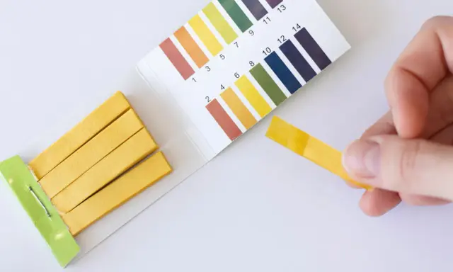 Teststreifen zeigen einen pH-Wert von 7 an. Ein **blasensprung nicht bemerkt**? Keine Sorge, der Test ist negativ.