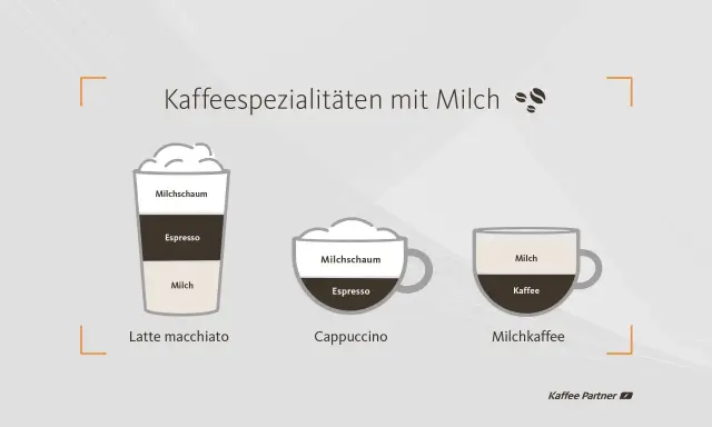 Latte macchiato mit viel Milch, Cappuccino und Milchkaffee werden gezeigt. Der Milchanteil ist bei allen unterschiedlich.