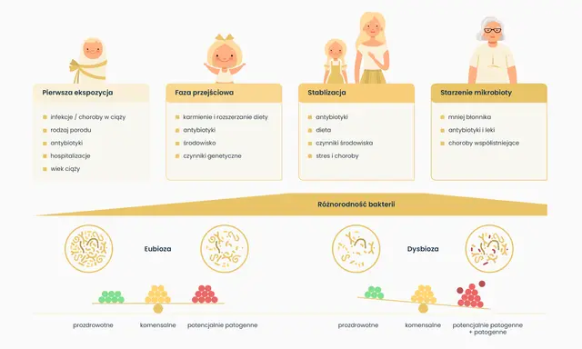 Diagram przedstawia etapy kształtowania się mikrobioty jelitowej od narodzin do starości, porównując eubiozę i dysbiozę.
