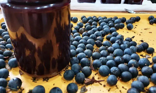 Ein Glas mit dunkler schlehen marmelade steht neben frischen Schlehen.