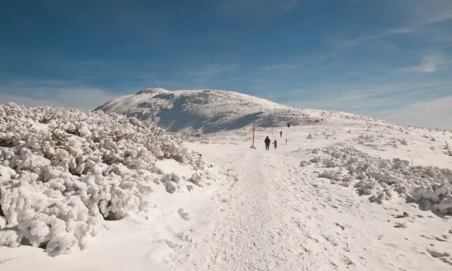 Zimowa trasa na Babia Górę. Śnieg pokrywa szlak i krzewy, a w oddali widać szczyt i innych turystów.