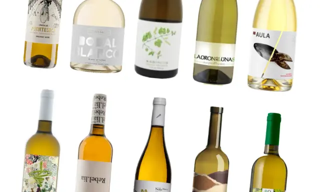 Varias botellas de vino blanco, algunas con etiquetas que sugieren los mejores vinos Utiel-Requena, como Bodal Blanco y Fuentesecca.