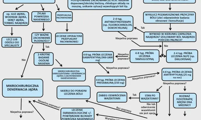 Schemat diagnostyki bólu jądra przy dotyku. Wskazuje na możliwe przyczyny i metody leczenia, od farmakologii po zabiegi chirurgiczne.