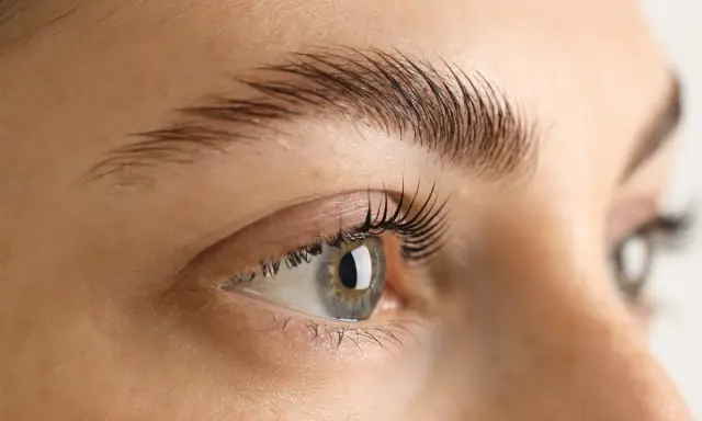 Un œil et un sourcil bien définis. Le secret pour savoir comment faire pousser ses sourcils en 1 nuit ? Une routine beauté ciblée.