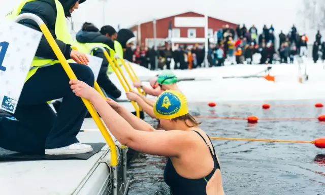Deltagare gör sig redo för vintersim i Skellefteå. De håller i gula räcken och kliver ner i det kalla vattnet, med publik som tittar på.
