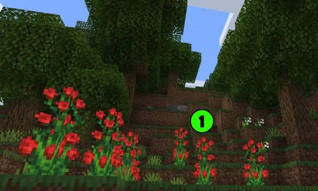 Jak zrobić zielony barwnik w Minecraft? Prosty poradnik!