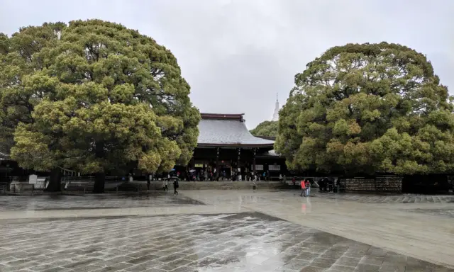 Regenzeit in Japan: Ein Tempel im Schatten großer Bäume, die nassen Steine spiegeln den grauen Himmel.