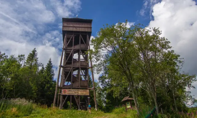 Drewniana wieża widokowa na Magurkach zaprasza do podziwiania panoramy. Wokół bujna zieleń i błękitne niebo.