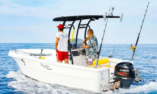 Deux hommes sur un bateau de pêche, avec un roll bar pour bateau, profitent de la mer bleue.