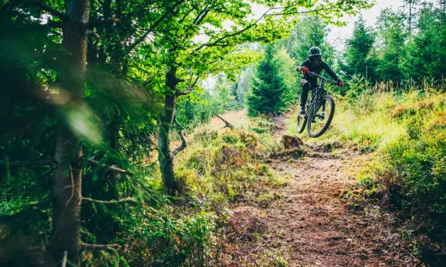 Rowerzysta w kasku skacze na trasie w bike park szczyrk. Leśna ścieżka pełna zieleni i słońca.